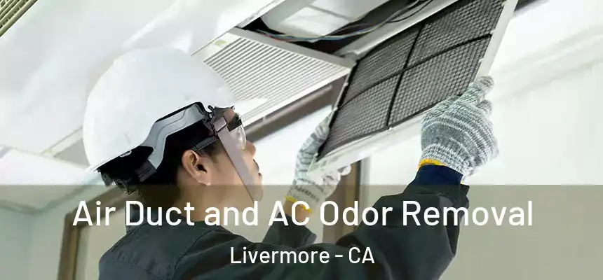 Air Duct and AC Odor Removal Livermore - CA