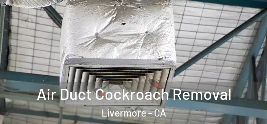 Air Duct Cockroach Removal Livermore - CA