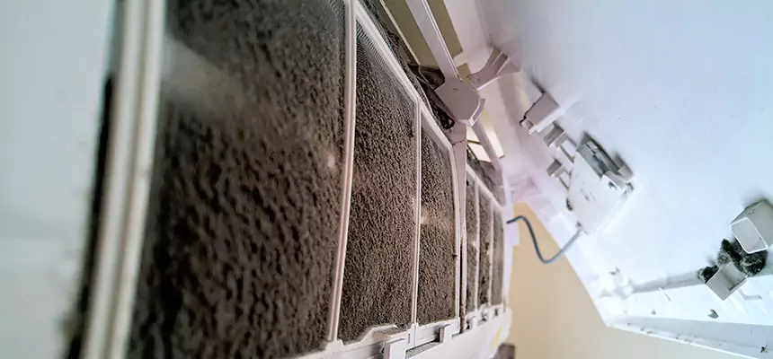 Preventive Air Duct Bacteria Removal in Livermore