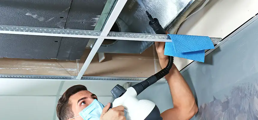 Our Air Duct Rodent Removal Services in Livermore, CA