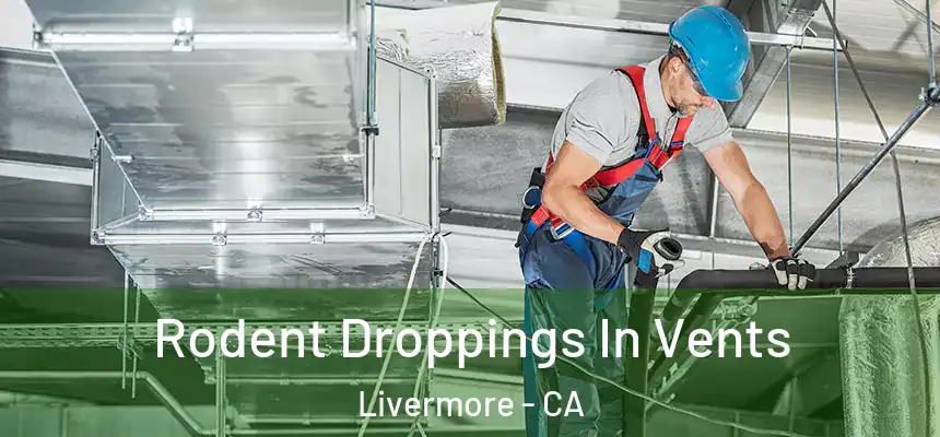  Rodent Droppings In Vents Livermore - CA