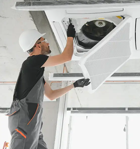 About Air Duct Rodent Removal in Livermore, CA