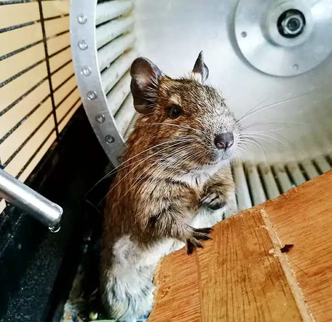 Why Homeowners & Businesses Trust Us Livermore, CA?