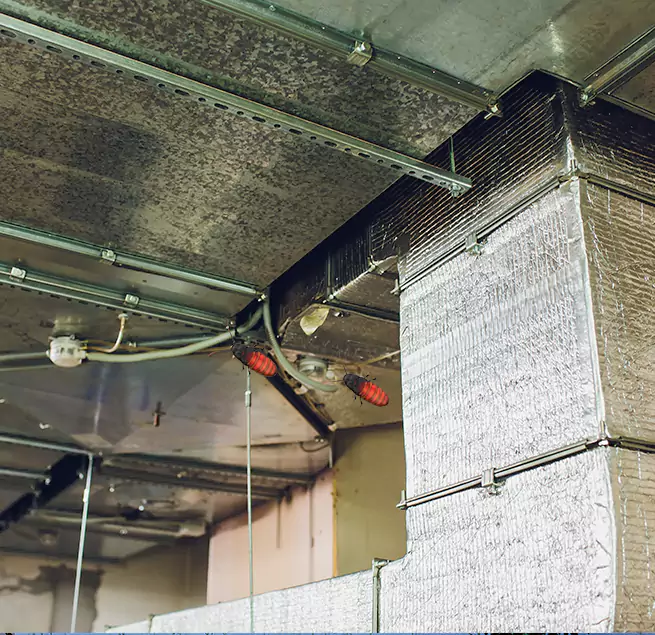 Why Homeowners & Businesses Trust Us Livermore, CA?