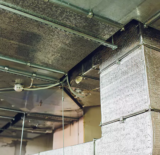 Why Homeowners & Businesses Trust Us in Livermore, CA?